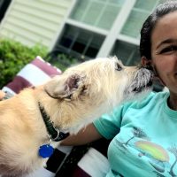 Charlotte's animal care playing with dog on dog walking visit